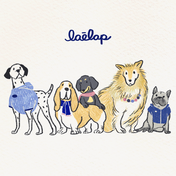 Illustration of multiple dogs of different breeds wearing clothes, with the word laēlap written about them